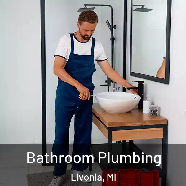  Bathroom Plumbing Livonia, MI