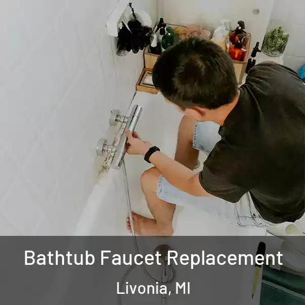  Bathtub Faucet Replacement Livonia, MI
