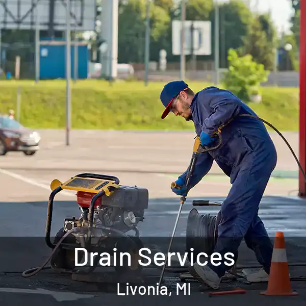  Drain Services Livonia, MI