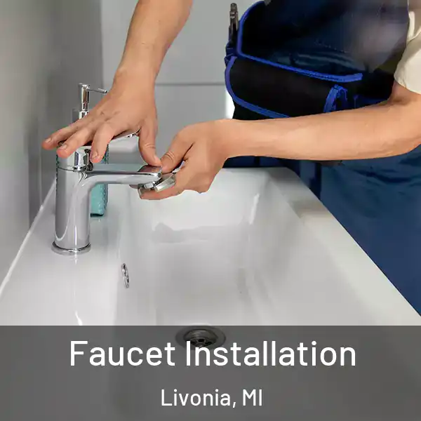  Faucet Installation Livonia, MI