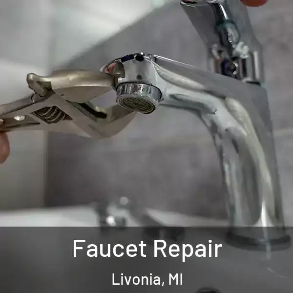  Faucet Repair Livonia, MI