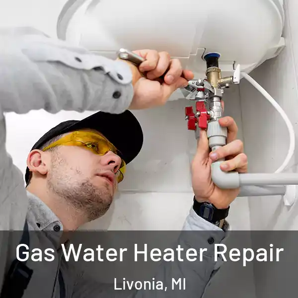  Gas Water Heater Repair Livonia, MI