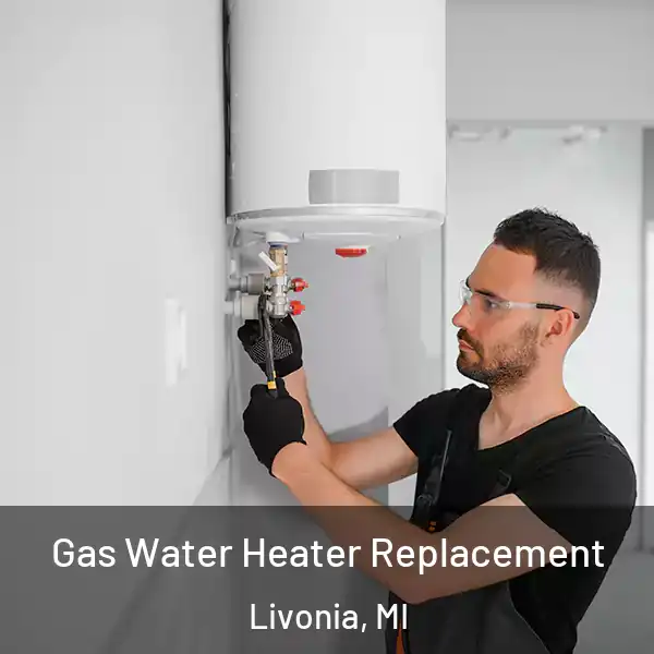  Gas Water Heater Replacement Livonia, MI