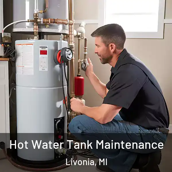  Hot Water Tank Maintenance Livonia, MI