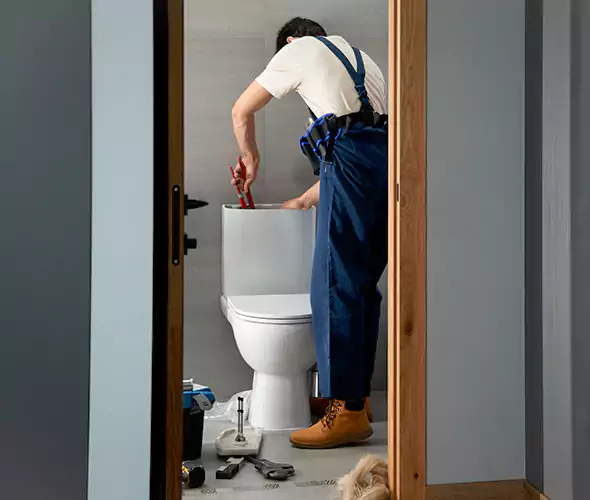 Professional Plumbers for Toilet Bowl Replacement in Livonia, MI: Schedule Affordable Toilet Replacement Services With Us