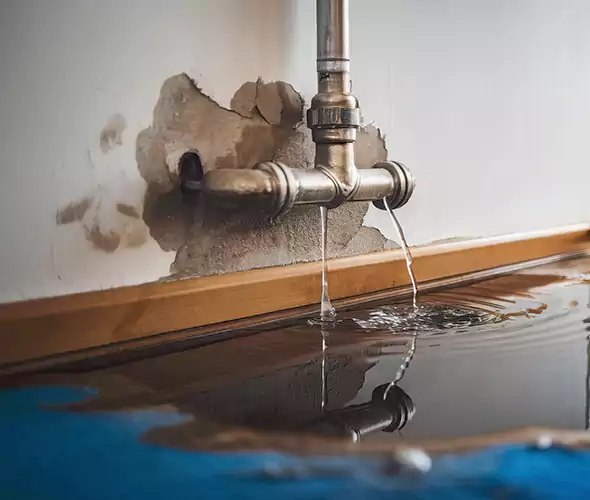 Professional Water Damage Restoration Experts in Livonia, MI — Fast, Reliable & Certified