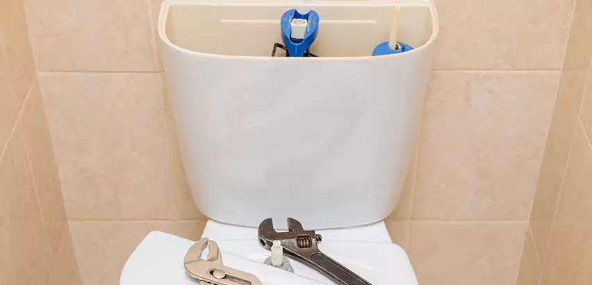 Upflush Toilet Installation in Livonia