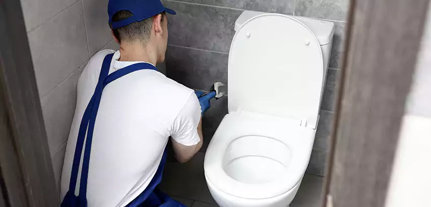 Toilet Lid Replacement in Livonia