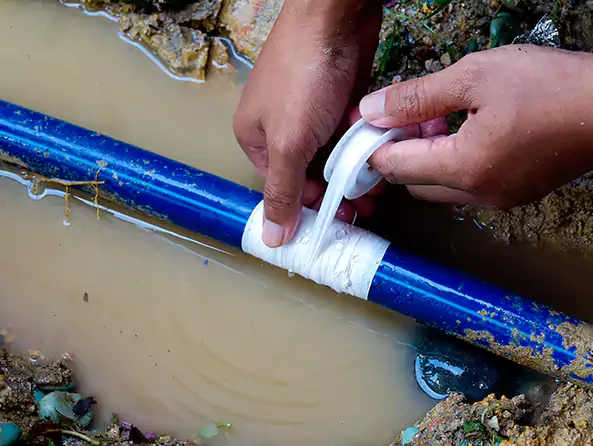  Why Choose Livonia Plumbing Pro for Leak Detection in Livonia, MI?]