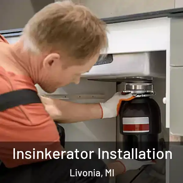  Insinkerator Installation Livonia, MI