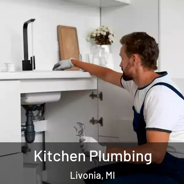  Kitchen Plumbing Livonia, MI