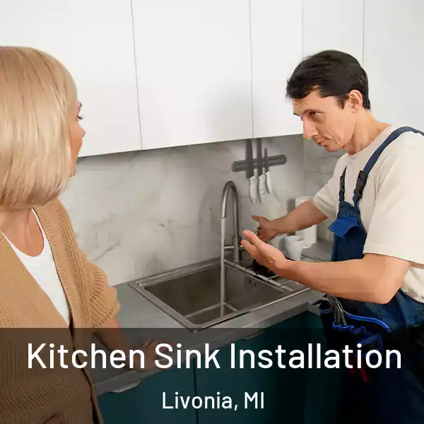  Kitchen Sink Installation Livonia, MI