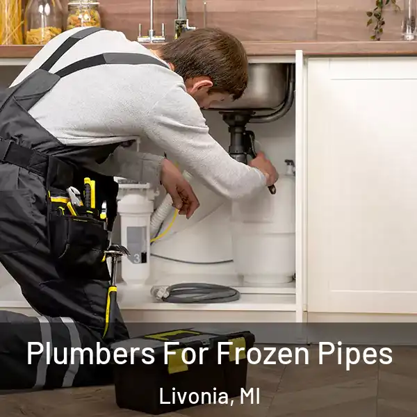  Plumbers For Frozen Pipes Livonia, MI