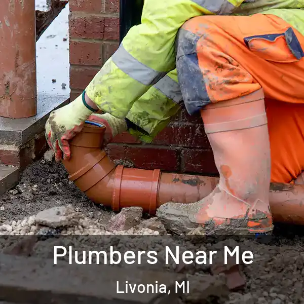  Plumbers Near Me Livonia, MI