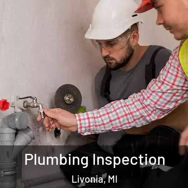  Plumbing Inspection Livonia, MI
