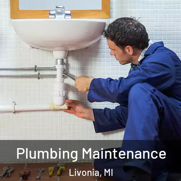  Plumbing Maintenance Livonia, MI