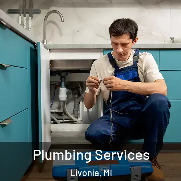  Plumbing Services Livonia, MI