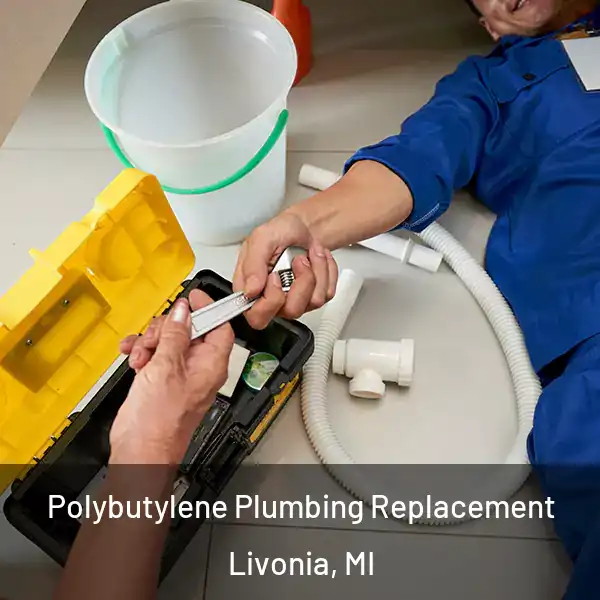  Polybutylene Plumbing Replacement Livonia, MI