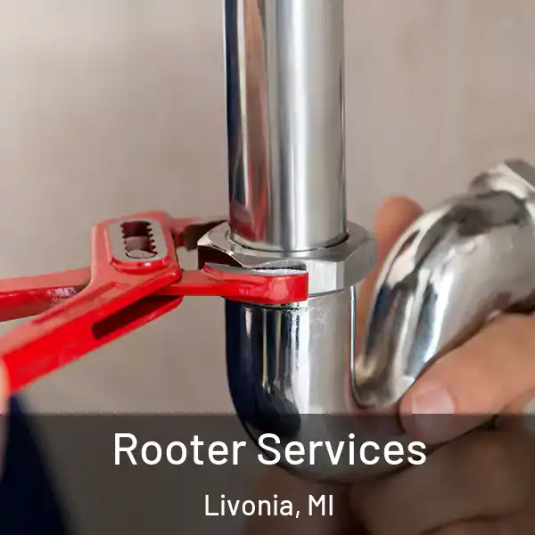  Rooter Services Livonia, MI