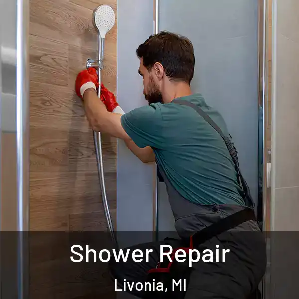  Shower Repair Livonia, MI