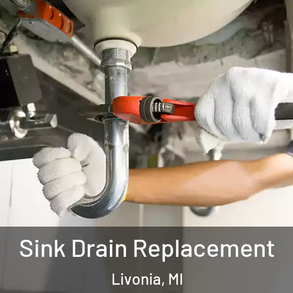  Sink Drain Replacement Livonia, MI