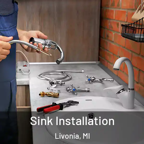  Sink Installation Livonia, MI