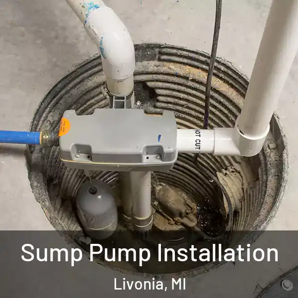  Sump Pump Installation Livonia, MI