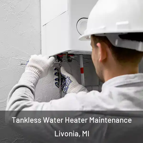  Tankless Water Heater Maintenance Livonia, MI