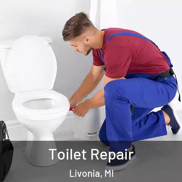  Toilet Repair Livonia, MI