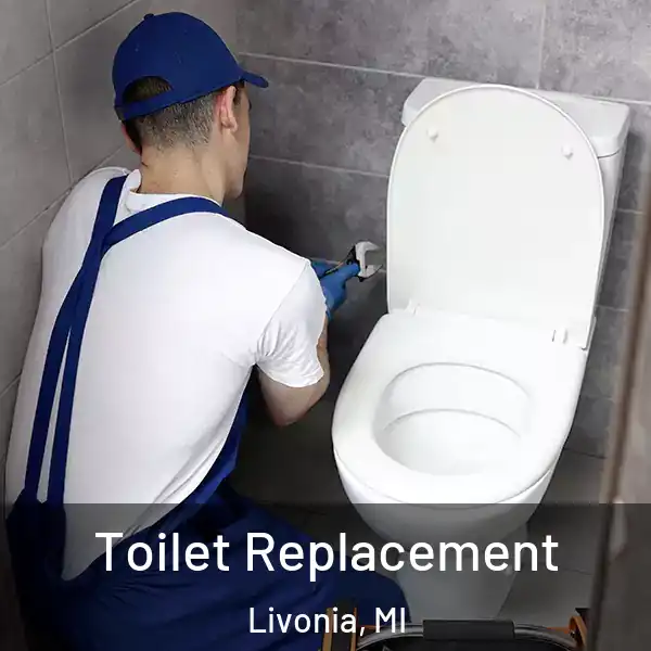  Toilet Replacement Livonia, MI