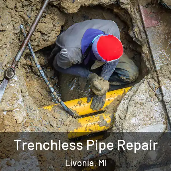  Trenchless Pipe Repair Livonia, MI