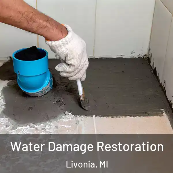  Water Damage Restoration Livonia, MI