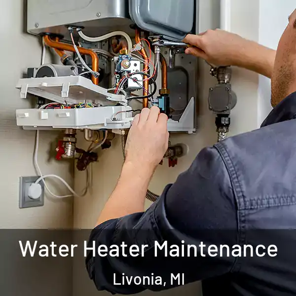  Water Heater Maintenance Livonia, MI