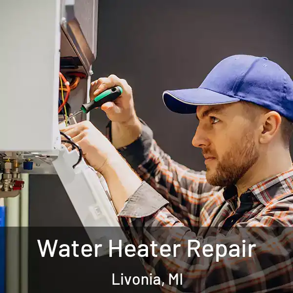  Water Heater Repair Livonia, MI