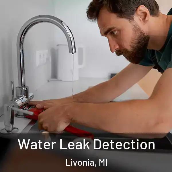  Water Leak Detection Livonia, MI